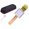 Belaidis Bluetooth mikrofonas