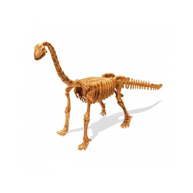 Jaunojo archeologo rinkinys „Dinozauras“