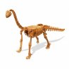 Jaunojo archeologo rinkinys „Dinozauras“