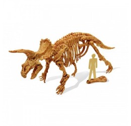 Jaunojo archeologo rinkinys „Triceratopsas“