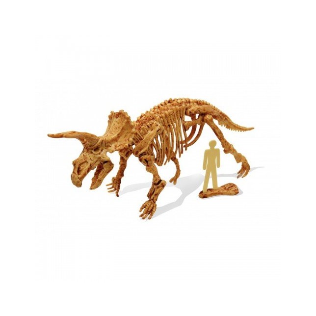 Jaunojo archeologo rinkinys „Triceratopsas“