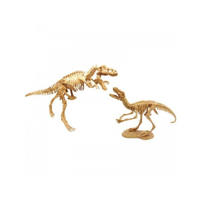 Jaunojo archeologo rinkinys ,,T-Rex & Raptor''