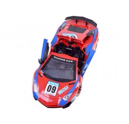 RC sportinis automobilis "Ralis"