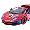 RC sportinis automobilis "Ralis"