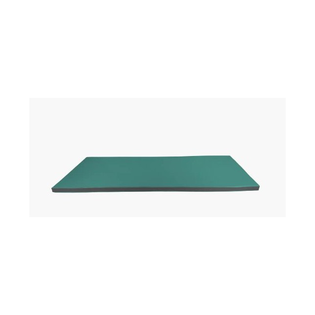 Čiužinys gimnastikai 195 x 85 x 5 cm