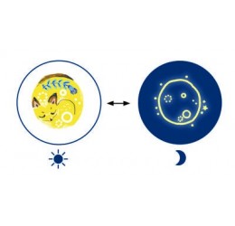 Djeco tatuiruotės vaikams "Sweet dreams"