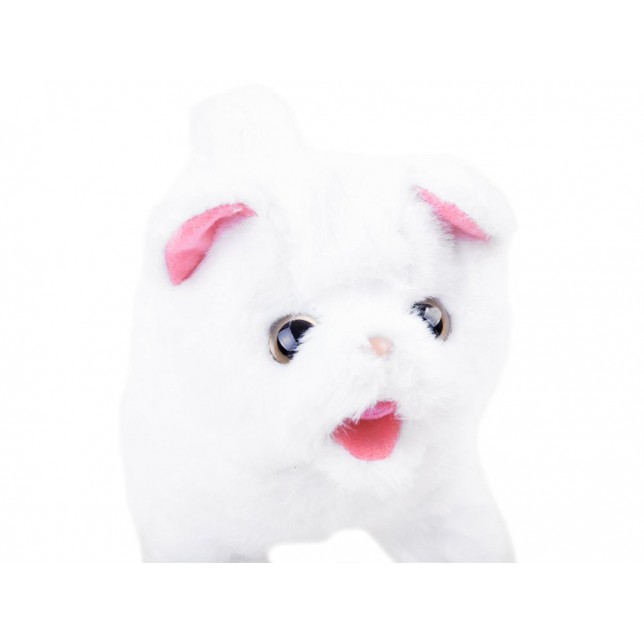 Interaktyvus katinėlis "Geriausias draugas"
