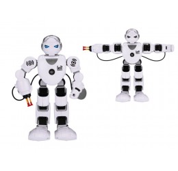 Interaktyvus žaislas "Alfa robotas"