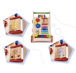 Spalvingas edukacinis stumdukas 6in1