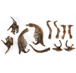 Kasinėjimo rinkinys "3D triceratopso skeletas"