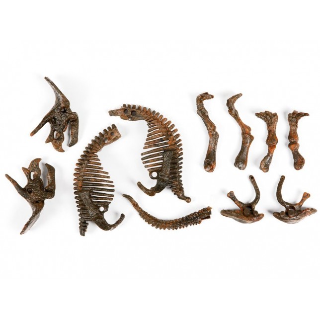 Kasinėjimo rinkinys "3D triceratopso skeletas"