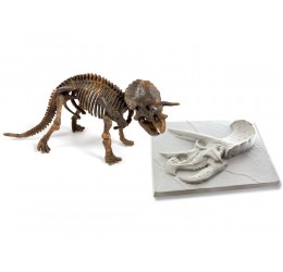 Kasinėjimo rinkinys "3D triceratopso skeletas"