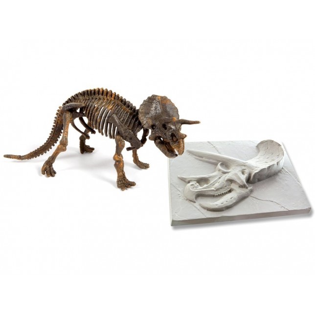 Kasinėjimo rinkinys "3D triceratopso skeletas"