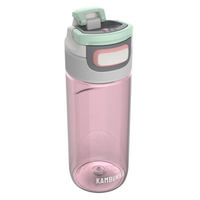 Kambukka gertuvė "Elton Apple Blossom" 500ml