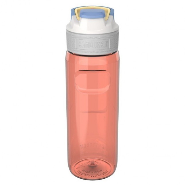 Kambukka gertuvė "Elton Wild Flamingo" 750ml
