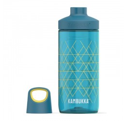 Kambukka gertuvė "Reno Man for President" 500ml