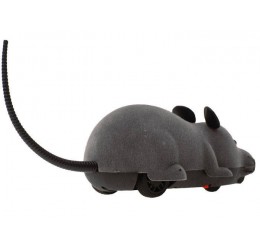 RC valdoma pelytė