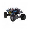 RC automobilis valdomas nuotoliniu pultu