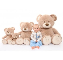 Pliušinis meškiukas Teddy 50 cm