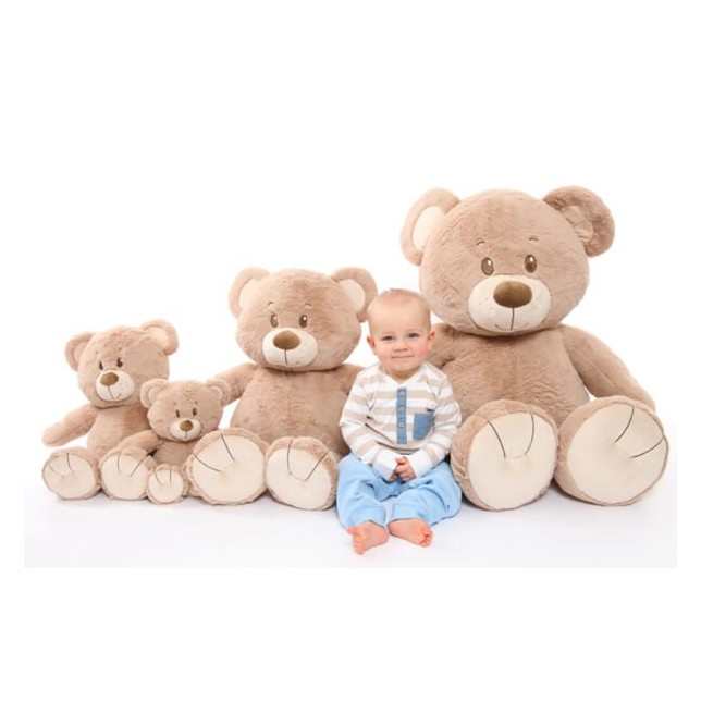 Pliušinis meškiukas Teddy 50 cm