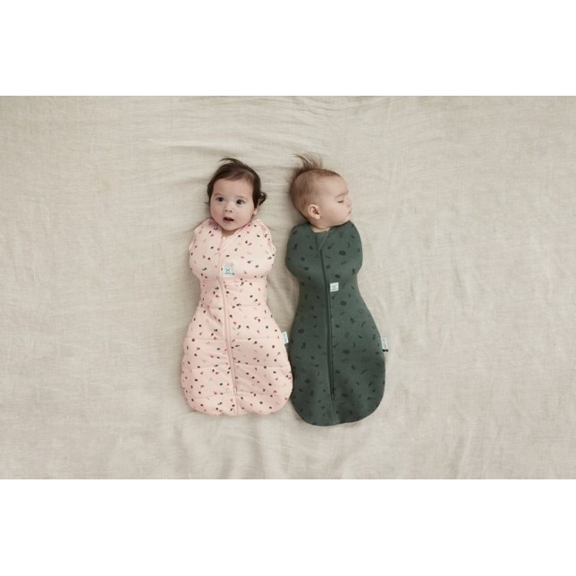 ergoPouch miegmaišis "Vaisiai" (0-3M)