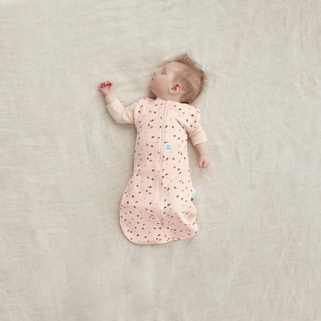 ergoPouch miegmaišis "Vaisiai" (0-3M)
