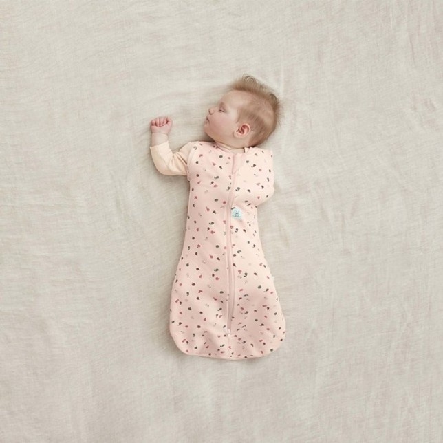 ergoPouch miegmaišis "Vaisiai" (0-3M)