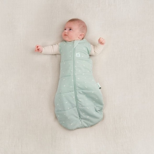 ergoPouch miegmaišis "Mėta" (0-3M)