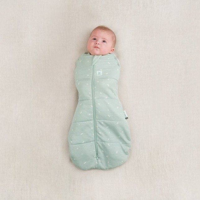 ergoPouch miegmaišis "Mėta" (0-3M)