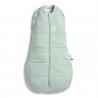 ergoPouch miegmaišis "Mėta" (0-3M)