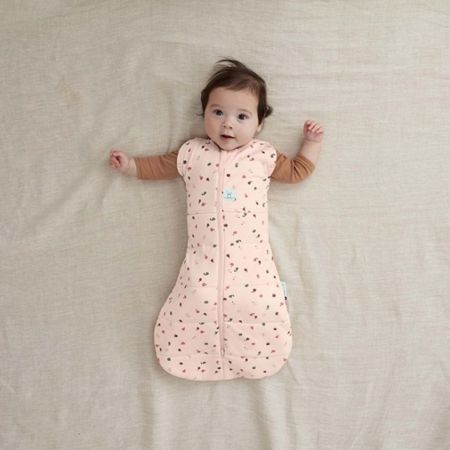 ergoPouch miegmaišis "Vaisiai" 2.5TOG  (0-3M)