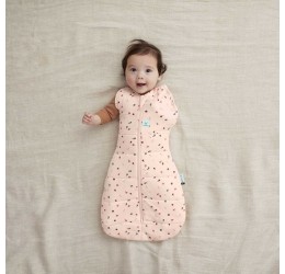 ergoPouch miegmaišis "Vaisiai" 2.5TOG  (0-3M)