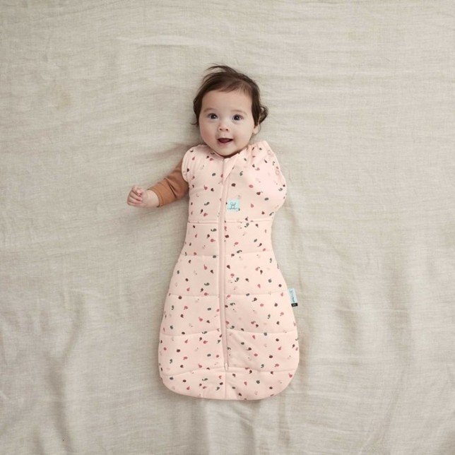 ergoPouch miegmaišis "Vaisiai" 2.5TOG  (0-3M)