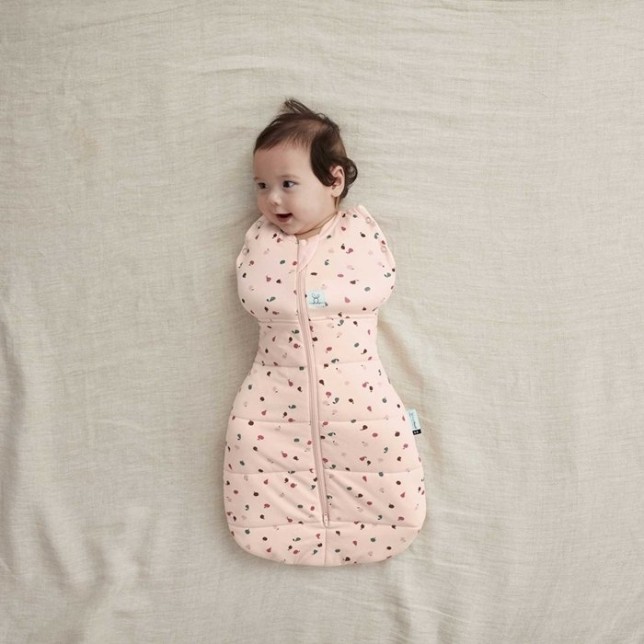 ergoPouch miegmaišis "Vaisiai" 2.5TOG  (0-3M)