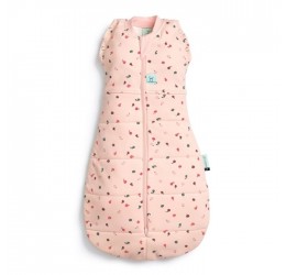 ergoPouch miegmaišis "Vaisiai" 2.5TOG  (0-3M)