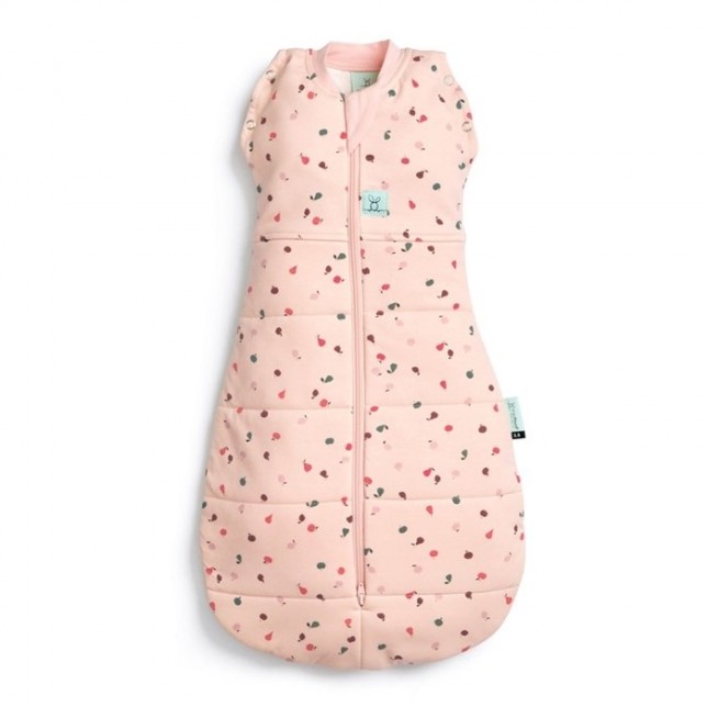 ergoPouch miegmaišis "Vaisiai" 2.5TOG  (0-3M)