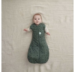 ergoPouch miegmaišis "Žaluma" 2,5TOG (0-3M)