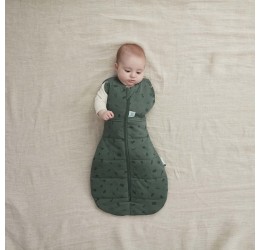 ergoPouch miegmaišis "Žaluma" 2,5TOG (0-3M)