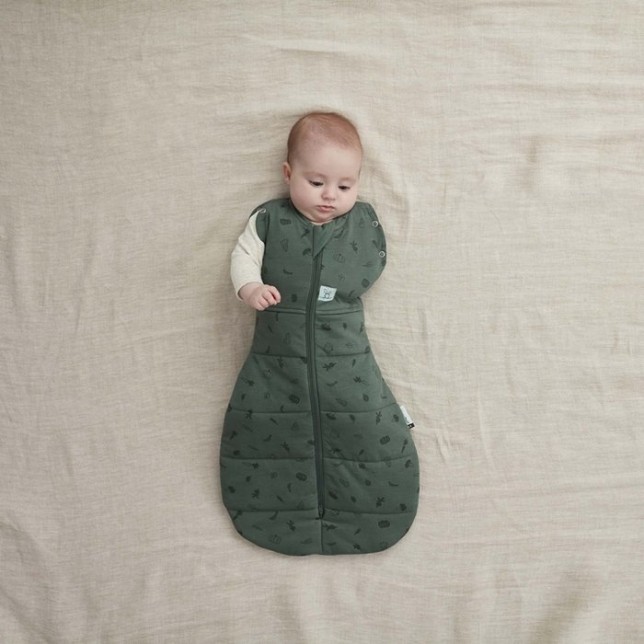 ergoPouch miegmaišis "Žaluma" 2,5TOG (0-3M)