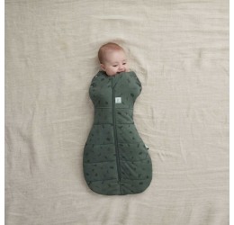 ergoPouch miegmaišis "Žaluma" 2,5TOG (0-3M)