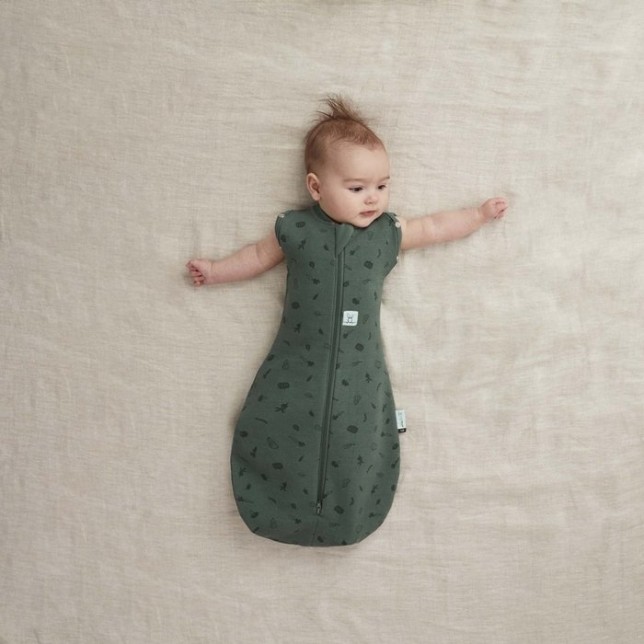 ergoPouch miegmaišis "Žaluma" (3-6M)