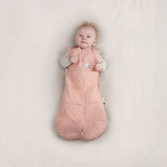 ergoPouch miegmaišis "Uoga" 2.5TOG (3-6M)