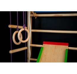 Gimnastikos sienelė ''COMBI PLUS'' 220 cm