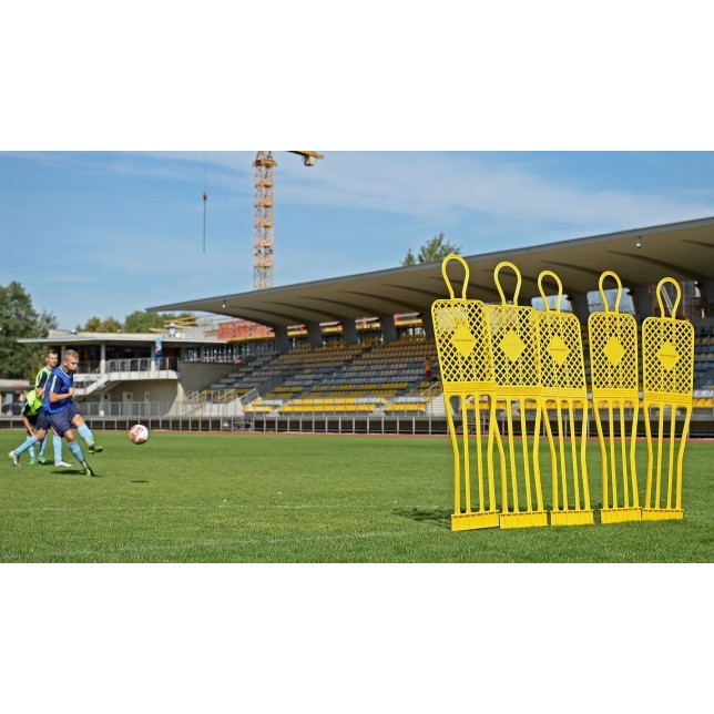 Futbolo sienelė "ELITE" 180cm