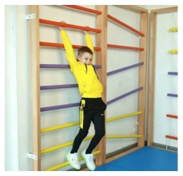 Tiesi laipiojimo sienėlė - Colorsport