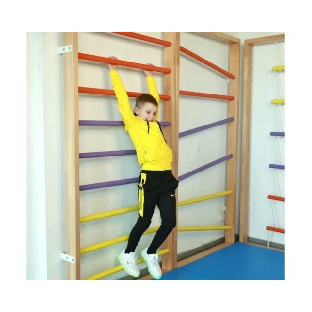 Tiesi laipiojimo sienėlė - Colorsport
