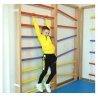 Tiesi laipiojimo sienėlė - Colorsport