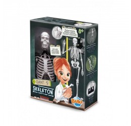 Konstruktorius "Žmogaus skeletas"