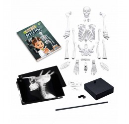 Konstruktorius "Žmogaus skeletas"