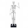 Konstruktorius "Žmogaus skeletas"